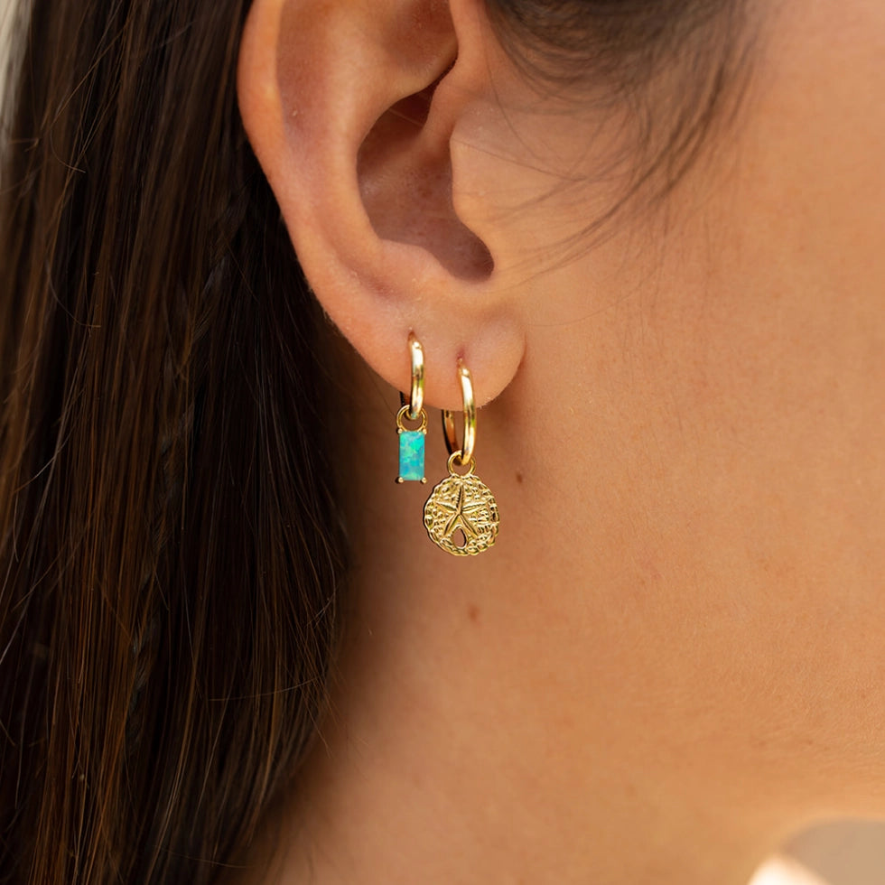 Sand Dollar Hoops